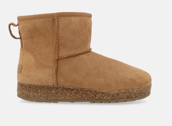 Haflinger AINO CHESTNUT Chestnut