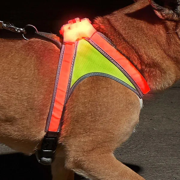 Noxgear LLC LightHound undefined