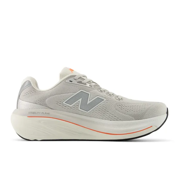 New Balance M860v15 Gray
